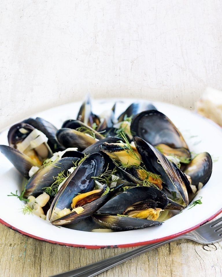 Mussels and cannellini beans in white wine