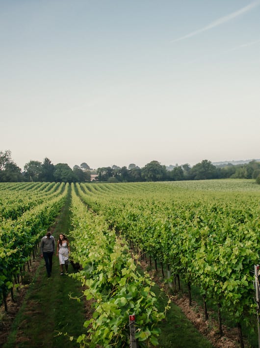 The best vineyards in the UK you can visit